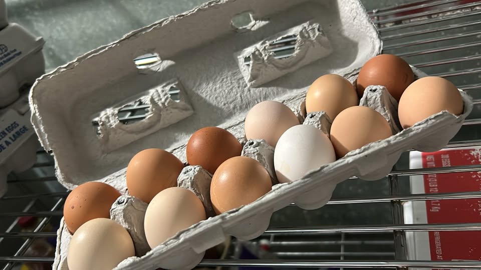 Eggs